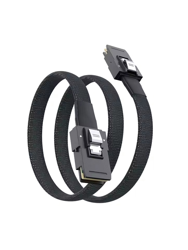 SAS SFF-8087 to SFF-8087 Cable 