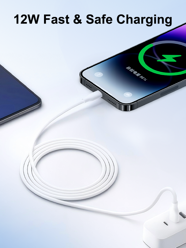 Understanding USB-A to Lightning Cable: Function, Quality, and Selection Guide
