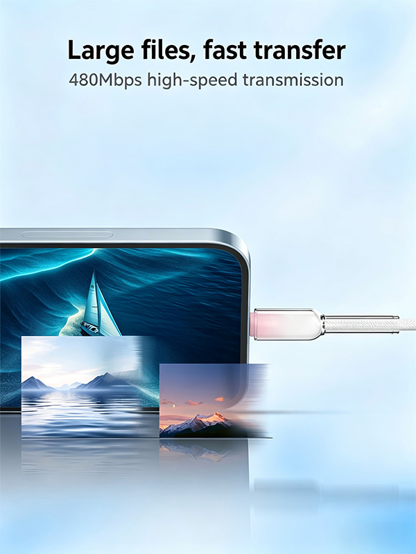 Crystal-Clear Series Type-C to Type-C Data Cable 