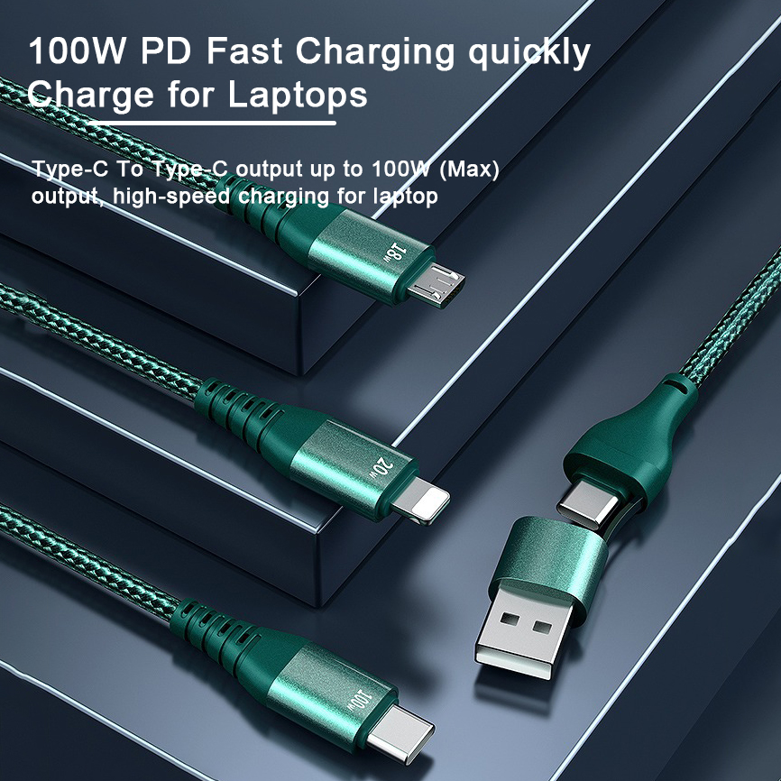 3 in 2 Type C PD 100W USB Cable